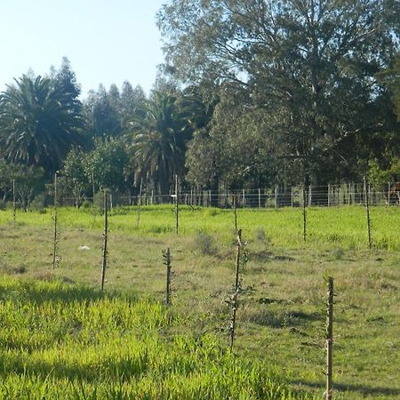 Casa De Campo Lo De Fatsia Guest House Colonia del Sacramento Room photo