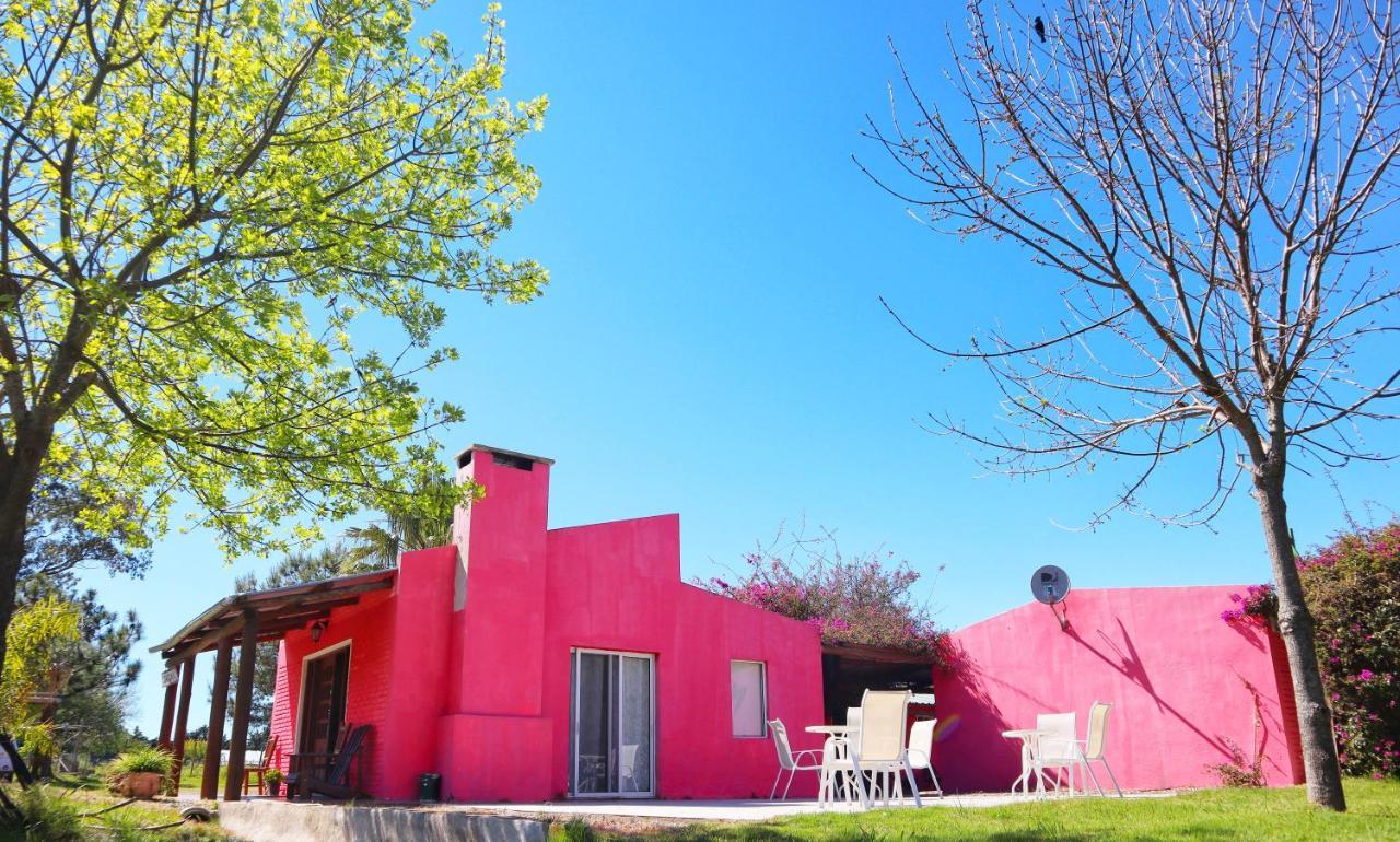 Casa De Campo Lo De Fatsia Guest House Colonia del Sacramento Exterior photo